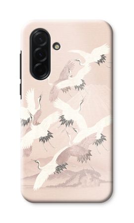 Japanese Crane Birds