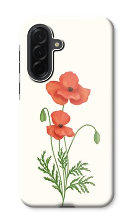 Red poppy