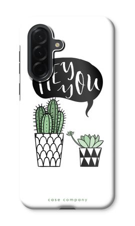 Hey you cactus