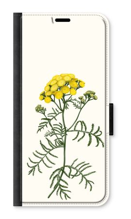 Tansy