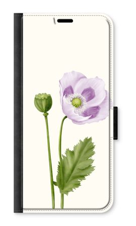 Purple poppy