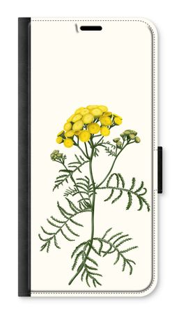 Tansy