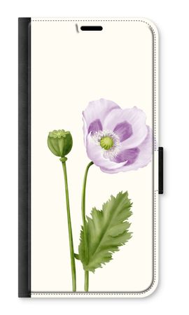 Purple poppy