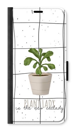 Houseplant on windowpane