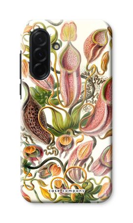 Haeckel Nepenthaceae