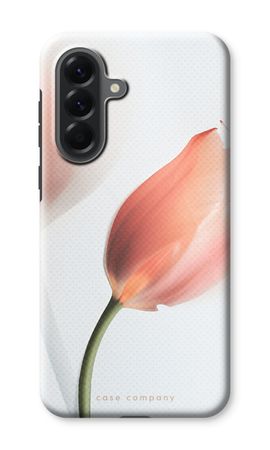Tulip