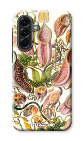 Haeckel Nepenthaceae