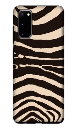 Arizona Zebra