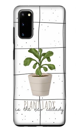 Houseplant on windowpane