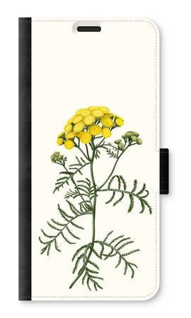 Tansy