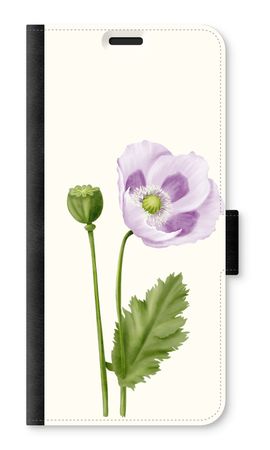 Purple poppy