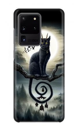 Moonlight Companions