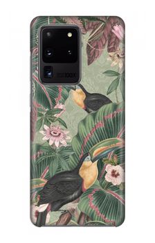 Tropical jungle toucan