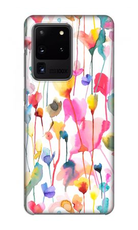 Wild Colorful Flowers