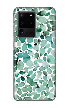 Eucalyptus à feuilles