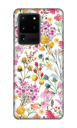 Delicate Plants and Flowers