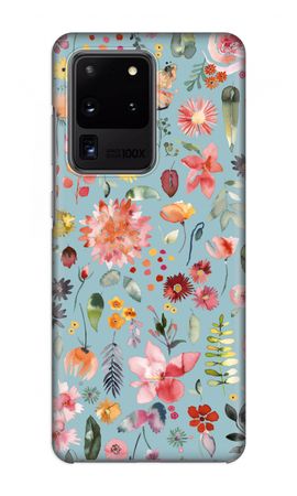 Colorful Plants and Flowers