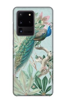 Paradise Garden Peacock