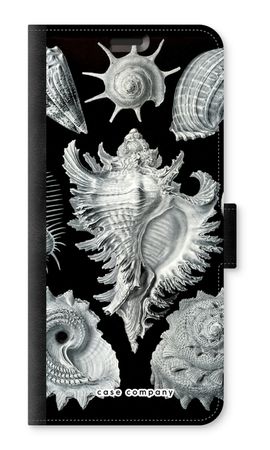 Haeckel Prosobranchia