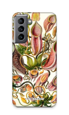 Haeckel Nepenthaceae