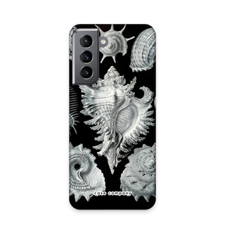 Haeckel Prosobranchia