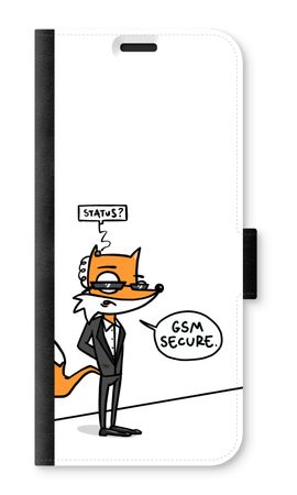 GSM secure