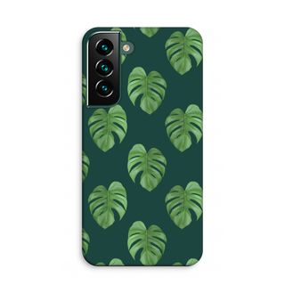 Monstera leaves