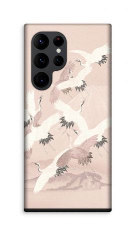 Japanese Crane Birds