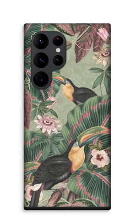 Tropical jungle toucan