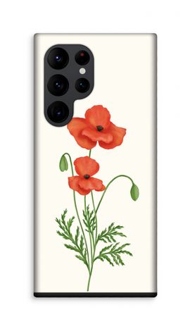 Red poppy