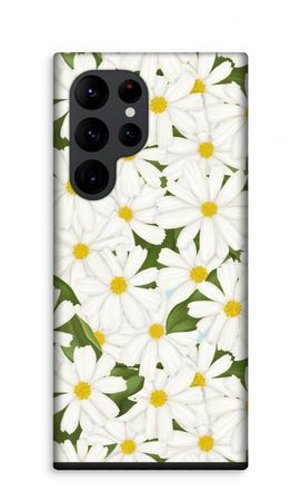 Summer Daisies