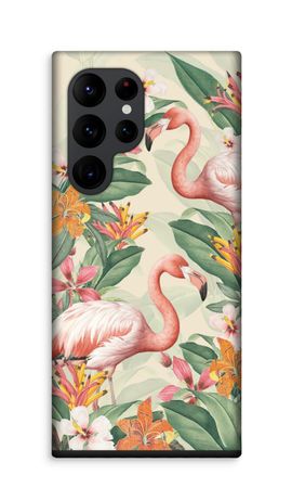 Tropical Flamingo
