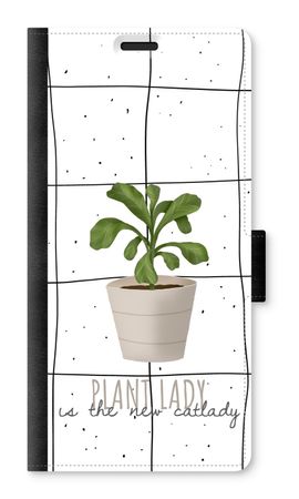 Houseplant on windowpane