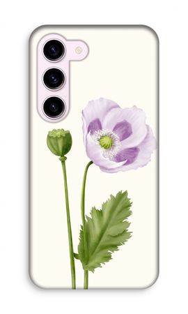 Purple poppy