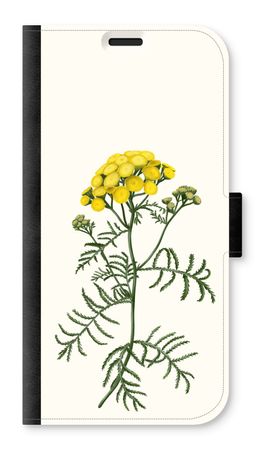 Tansy
