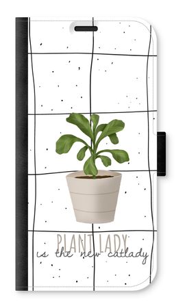 Houseplant on windowpane