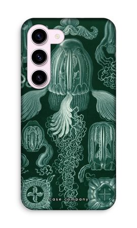 Haeckel Cubomedusae