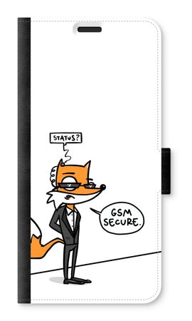 GSM secure