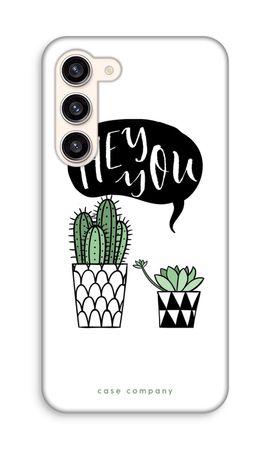 Hey you cactus