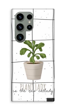 Houseplant on windowpane