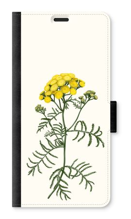 Tansy