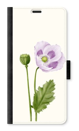 Purple poppy