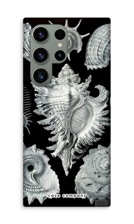 Haeckel Prosobranchia