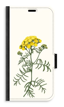Tansy