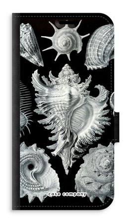 Haeckel Prosobranchia