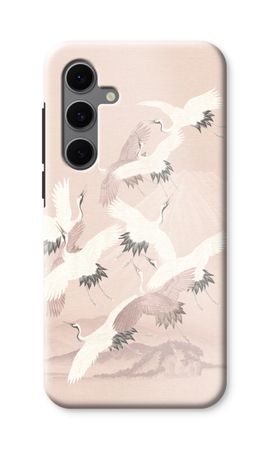 Japanese Crane Birds