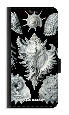 Haeckel Prosobranchia