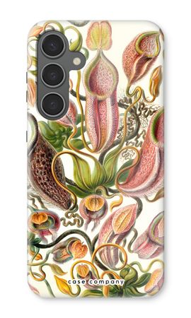 Haeckel Nepenthaceae