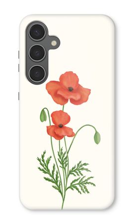 Red poppy