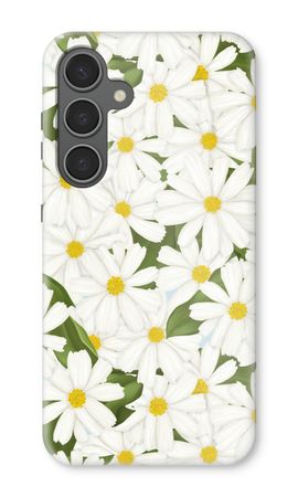 Summer Daisies
